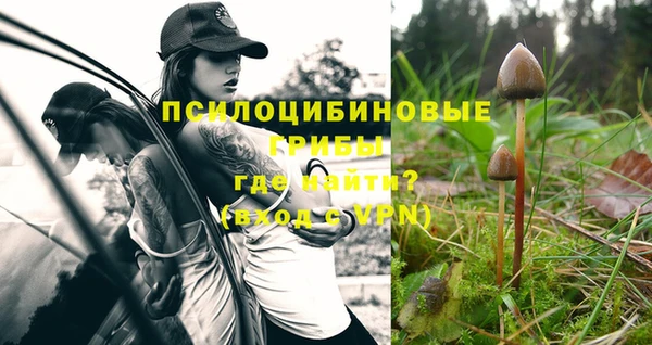 бошки Балахна
