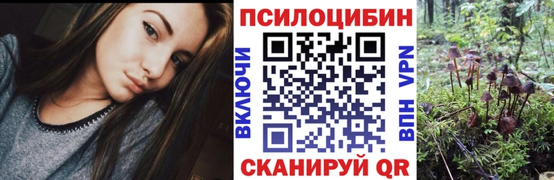 МЕГА сайт  Бутурлиновка  Псилоцибиновые грибы Psilocybine cubensis  где найти наркотики 
